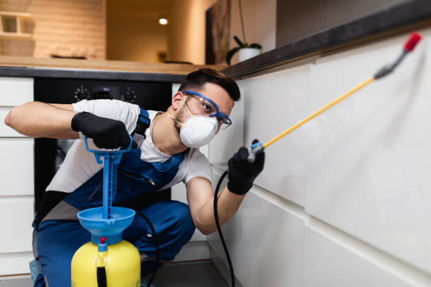 Best Pest Inspection Near Me  in Caribou, ME