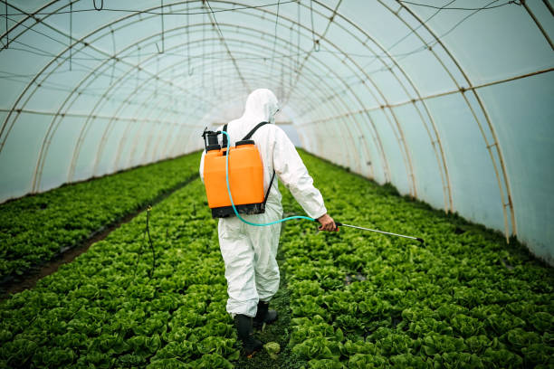Best Best Pest Control Companies  in Caribou, ME