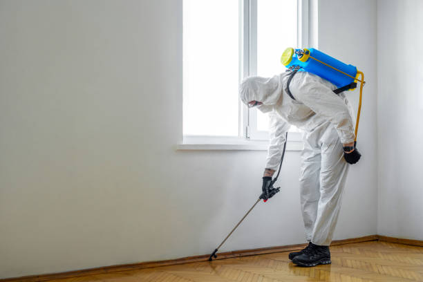 Best Wasp Removal Services  in Caribou, ME