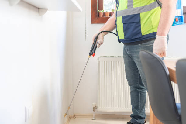 Best Ant Control Services  in Caribou, ME